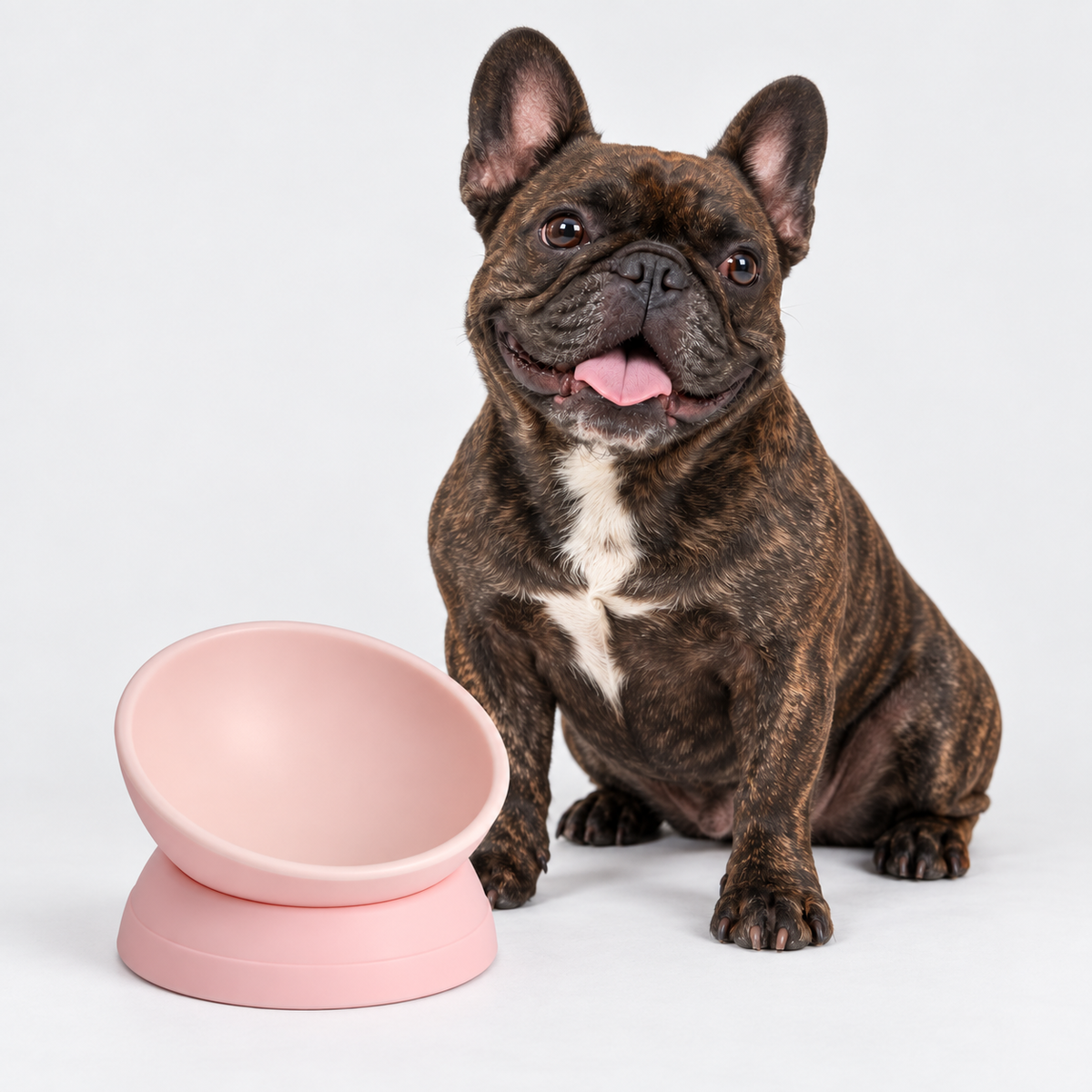 French Bulldog Adjustable Tilt Bowl - 360-Degree Design