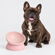 French Bulldog Adjustable Tilt Bowl - 360-Degree Design