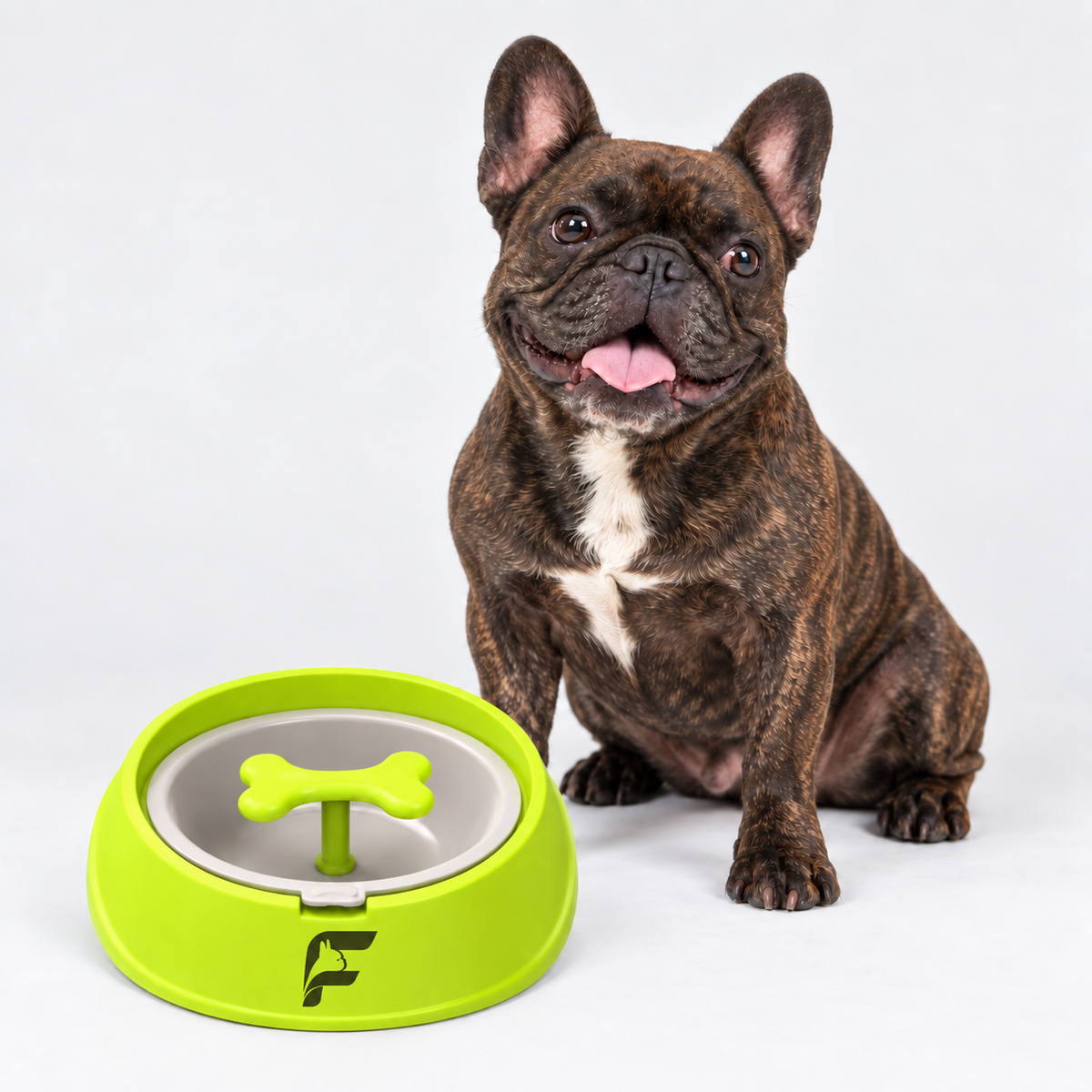 French Bulldog Slow Feeder Bowl - Raised Bone Center