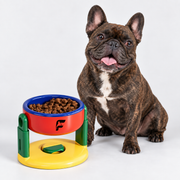 French Bulldog Adjustable Elevated Bowl with Suction Base