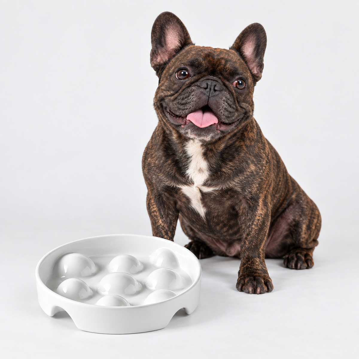 French Bulldog Ceramic Slow Feeder Bowl - Rounded Ridges
