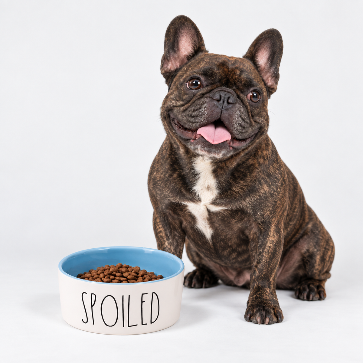 SPOILED French Bulldog Ceramic Bowl - Food & Water Dish