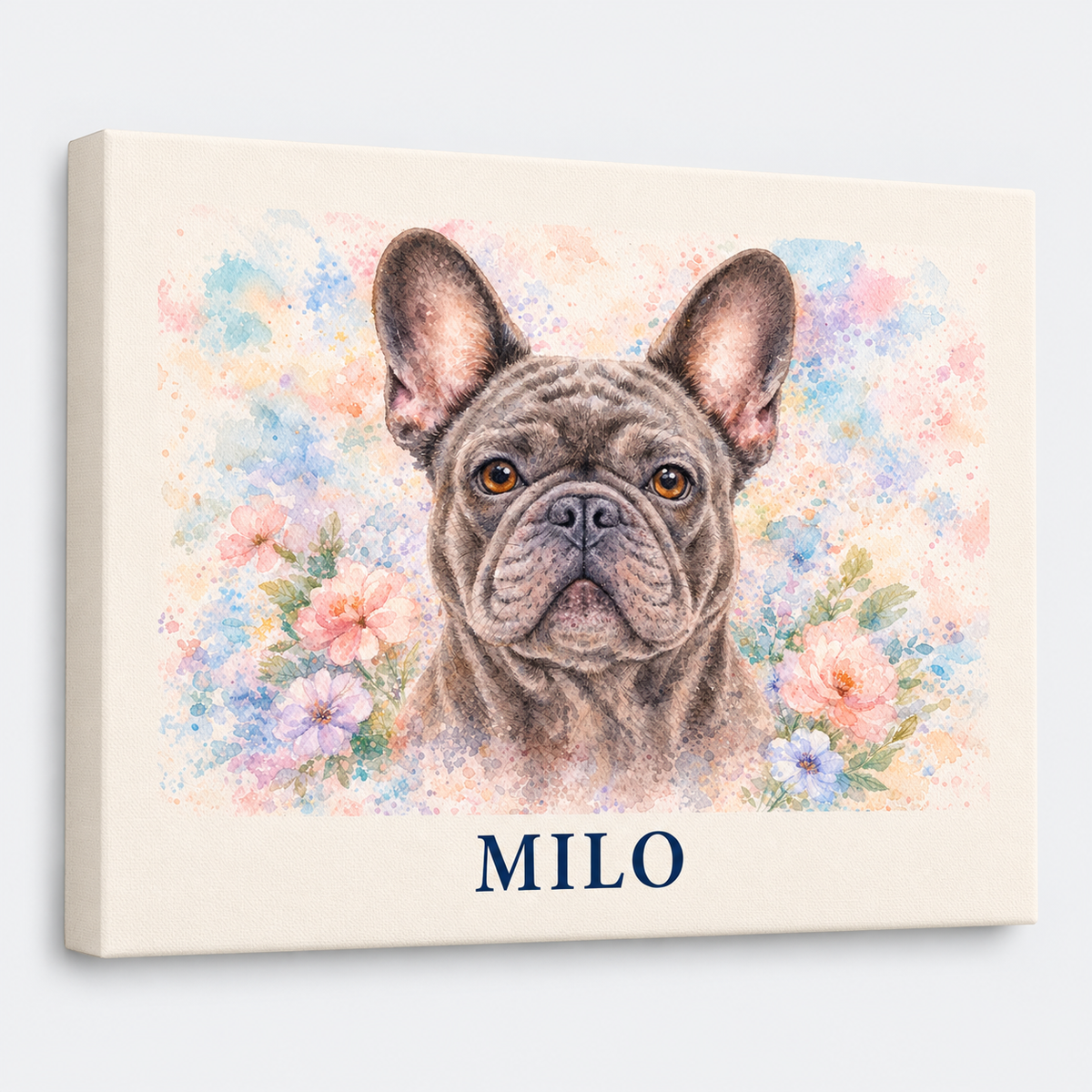 French Bulldog canvas on light gray studio background
