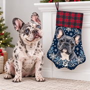 Frenchie beside Midnight Snow paw Christmas stocking