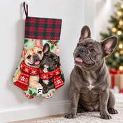 Frenchie beside Candy Cane Cuddles paw Christmas stocking