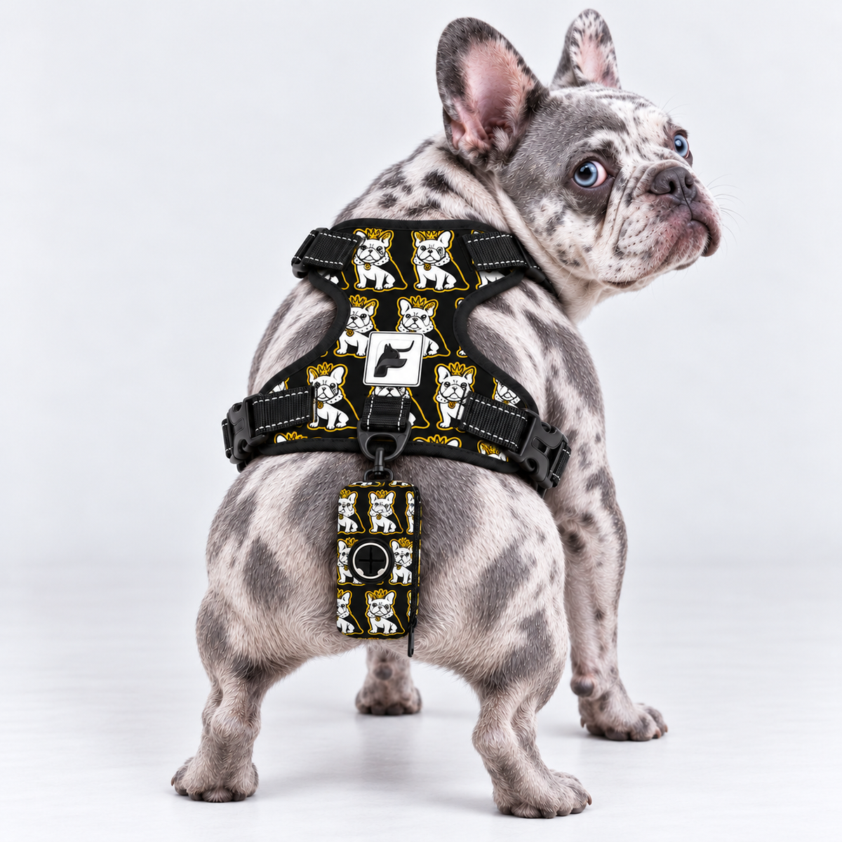 Frenchie Sketch matching harness and poop bag holder on our Frenchie model