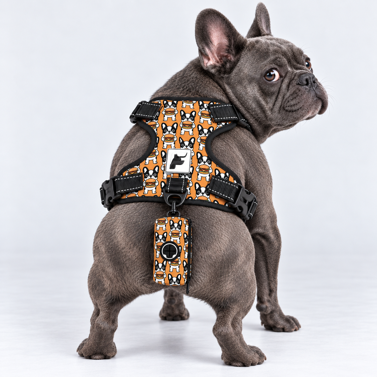 Burger Frenchie matching harness and poop bag holder on our Frenchie model