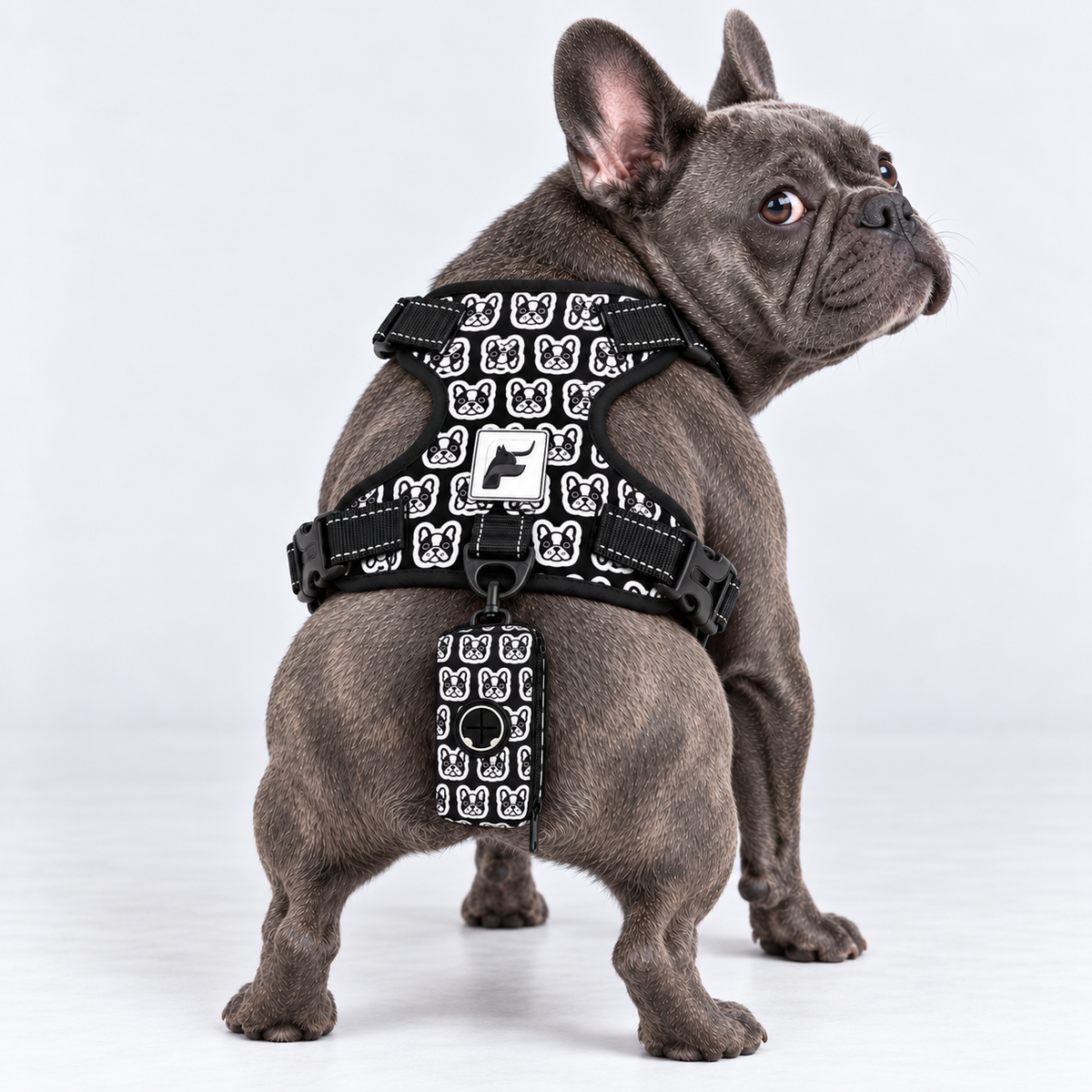 Monochrome Frenchie Portraits matching harness and poop bag holder on our Frenchie model