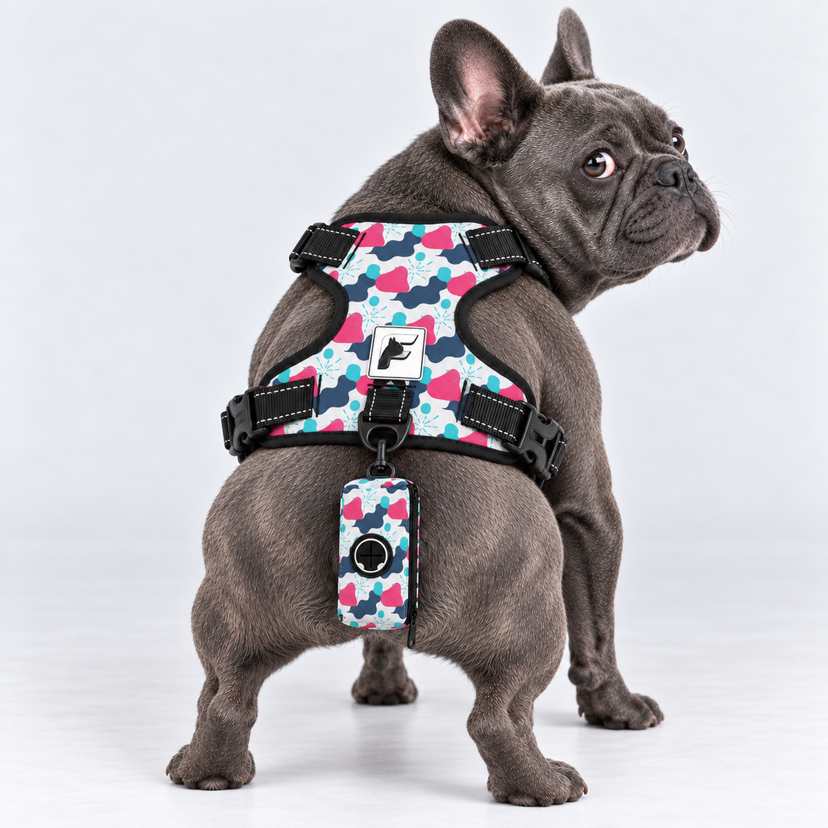 Pastel Frenchie Silhouettes matching harness and poop bag holder on our Frenchie model