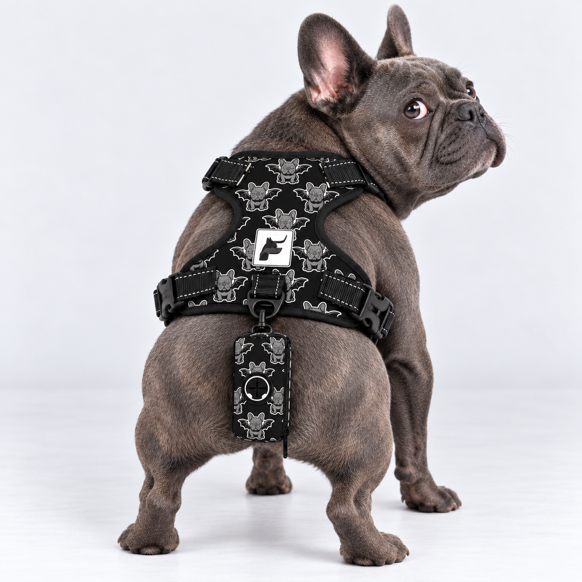 Bat Frenchie matching harness and poop bag holder on our Frenchie model