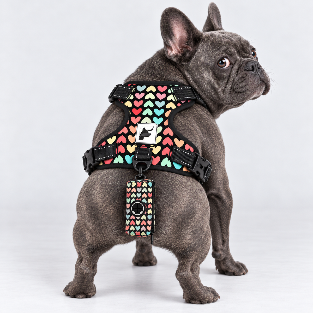 Pastel Hearts matching harness and poop bag holder on our Frenchie model