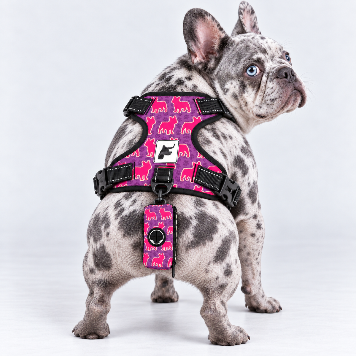 Pink Frenchie Pop matching harness and poop bag holder on our Frenchie model