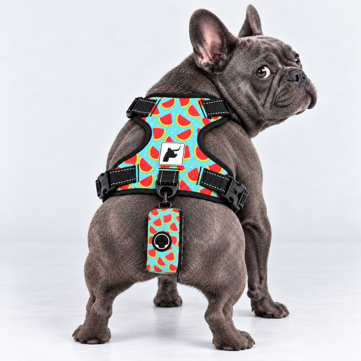 Watermelon Picnic matching harness and poop bag holder on our Frenchie model