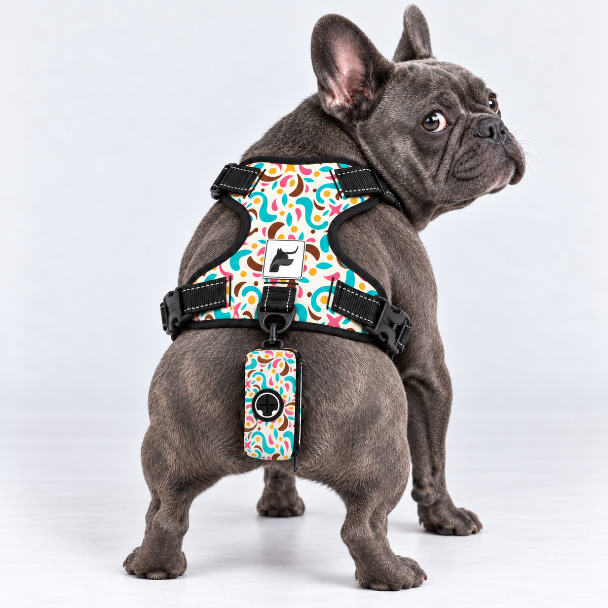 Retro Color Pop matching harness and poop bag holder on our Frenchie model