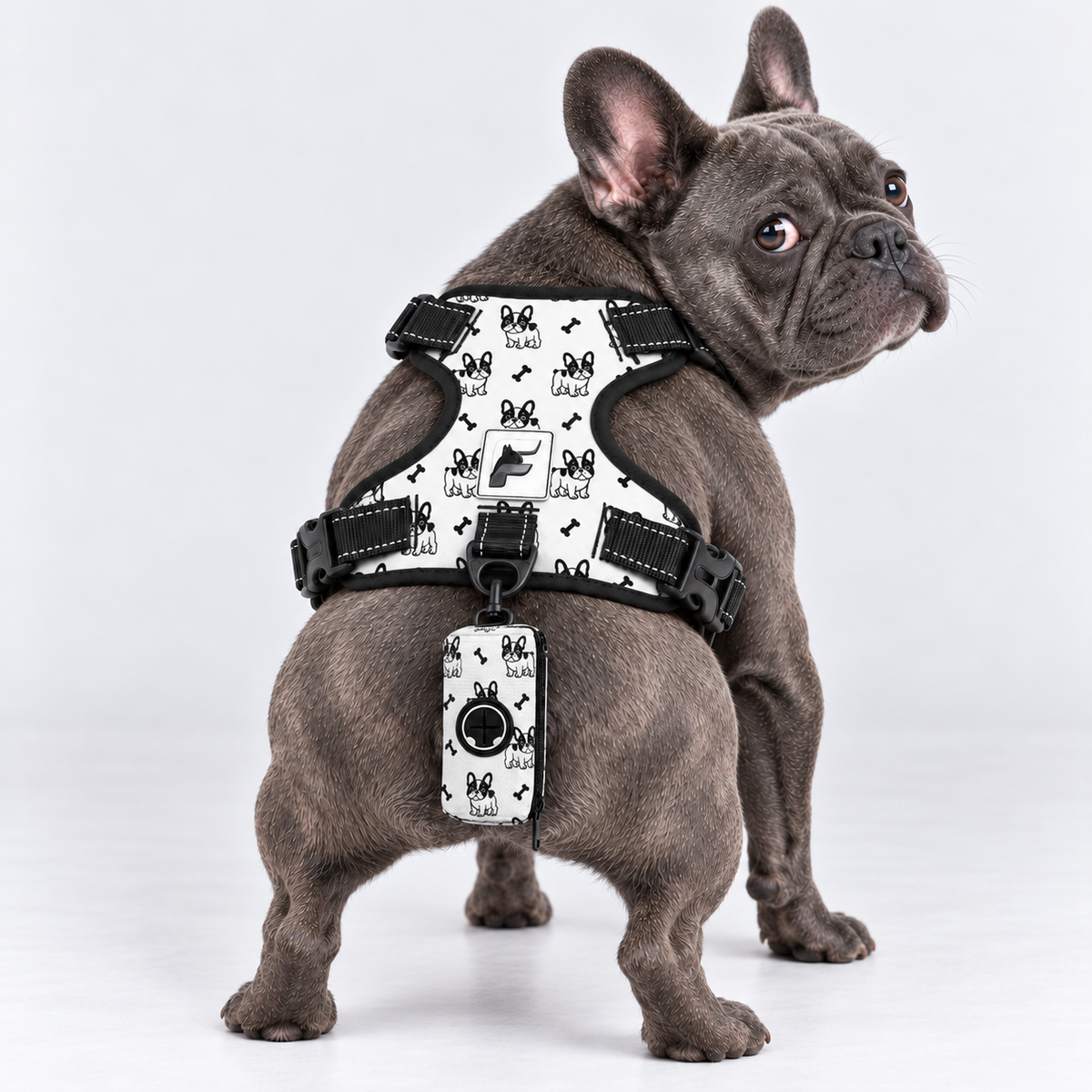 Frenchies & Bones matching harness and poop bag holder on our Frenchie model