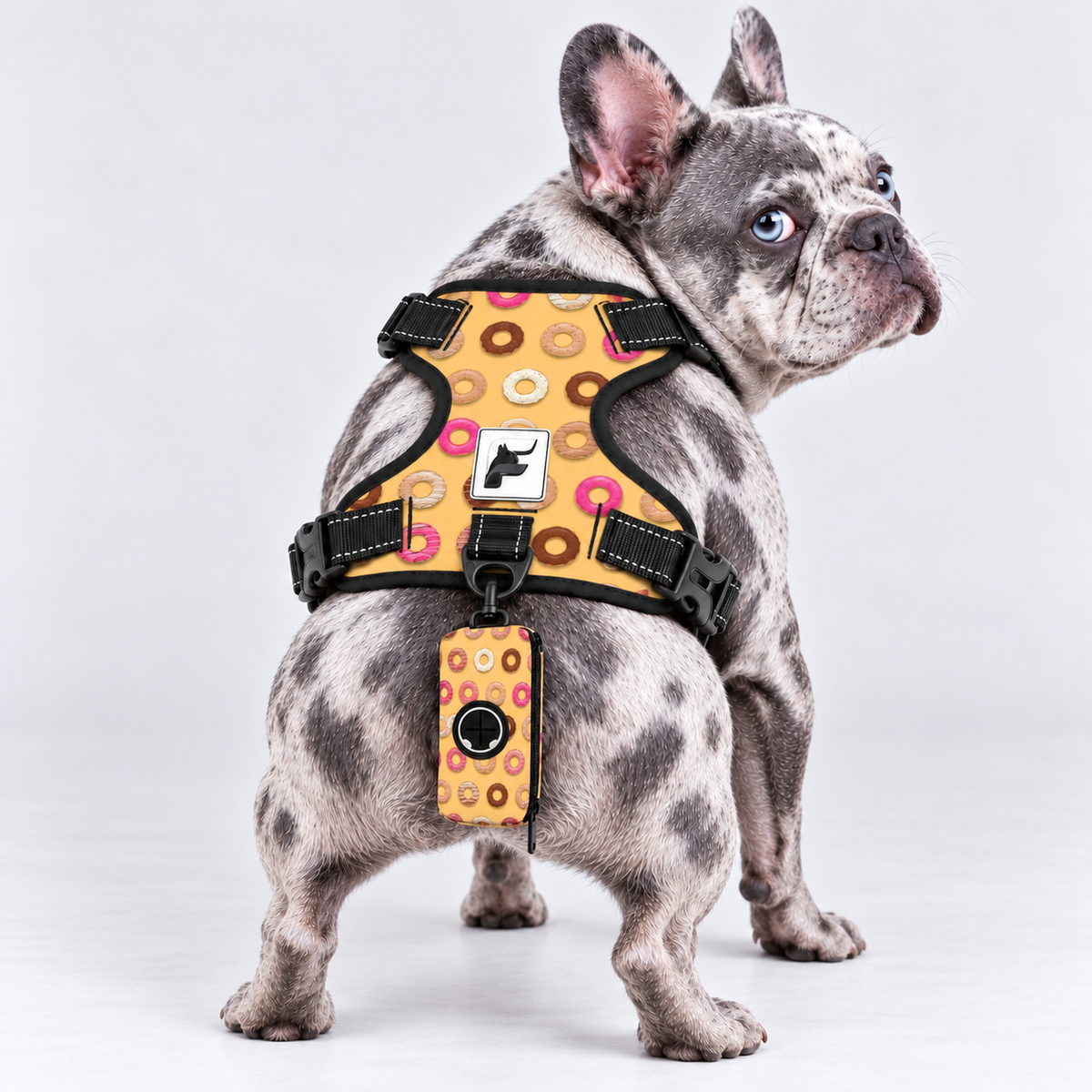Sweet Donuts matching harness and poop bag holder on our Frenchie model