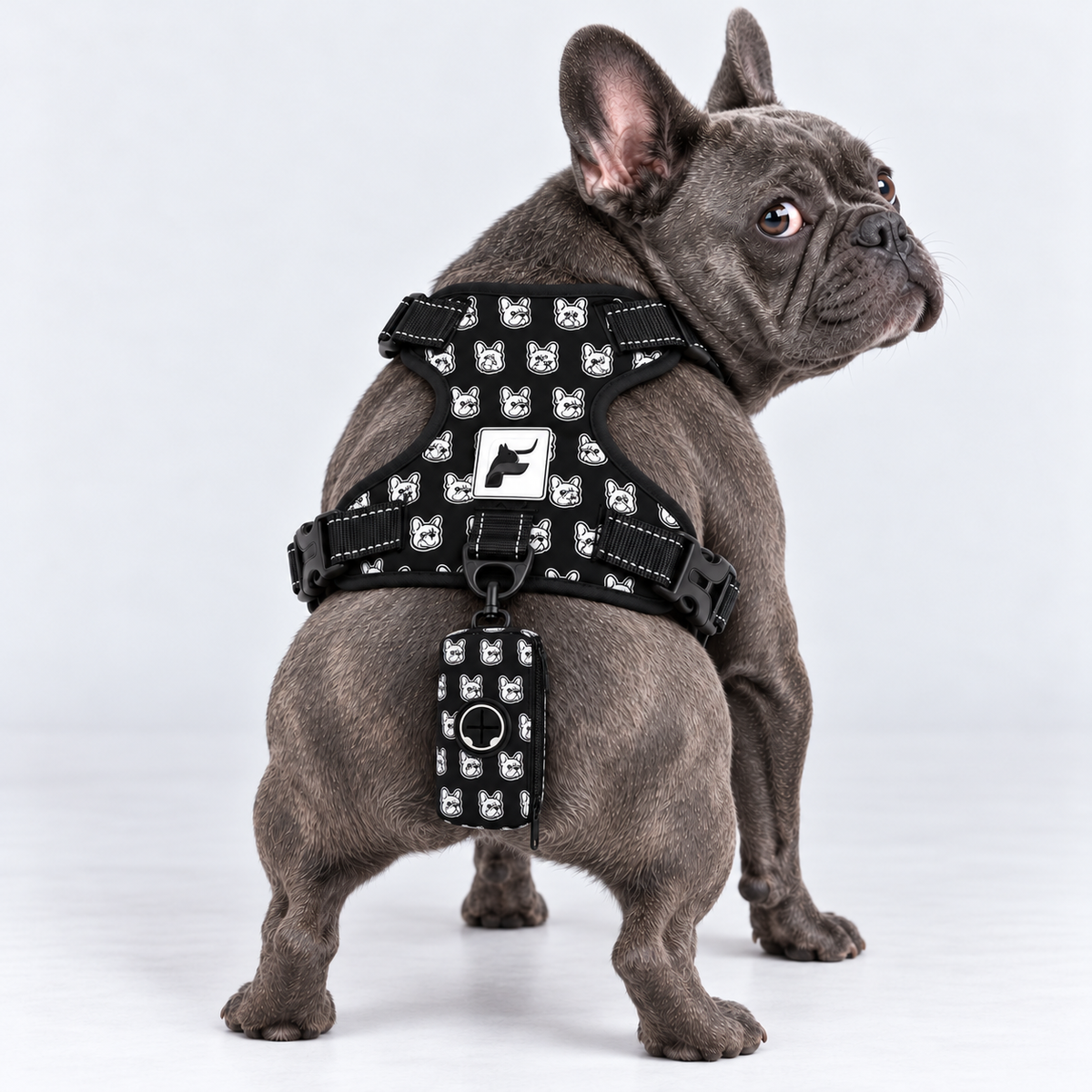 Classic Frenchie Faces matching harness and poop bag holder on our Frenchie model