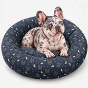 Midnight Constellation Frenchie Round Dog Bed with our French Bulldog model