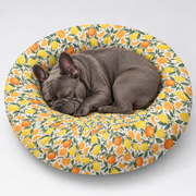 Citrus Grove Round Dog Bed with our French Bulldog model