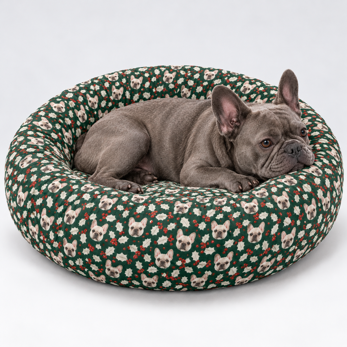Holly Frenchie Christmas Round Dog Bed with our French Bulldog model