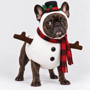 French Bulldog Snowman Christmas Costume