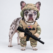 French Bulldog Soldier Costume – Camo Halloween Outfit