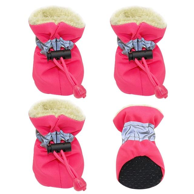 frenchie boots