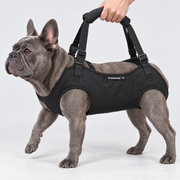 Full-Body French Bulldog Lift Harness — Black — Frenchie wearing product