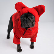 Warmify TM : Warm Hat for Frenchies