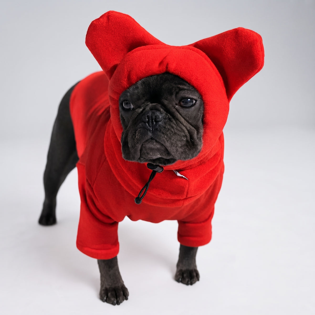 Warmify TM : Warm Hat for Frenchies