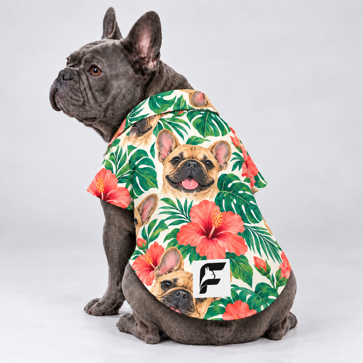 Aloha Frenchie Hawaiian Dog Shirt on our Frenchie model, back view with white-square logo