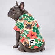 Aloha Frenchie Hawaiian Dog Shirt on our Frenchie model, back view with white-square logo