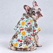 Beach Picnic Hawaiian Dog Shirt on our Frenchie model, back view with white-square logo