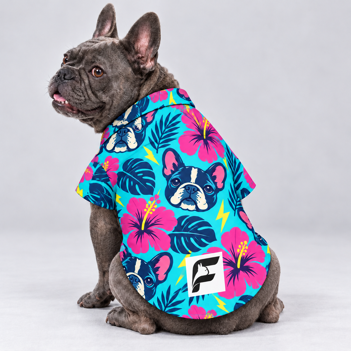 Paradise Pop Hawaiian Dog Shirt on our Frenchie model, back view with white-square logo