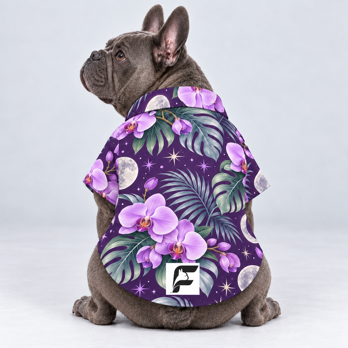 Night Luau Hawaiian Dog Shirt on our Frenchie model, back view with white-square logo