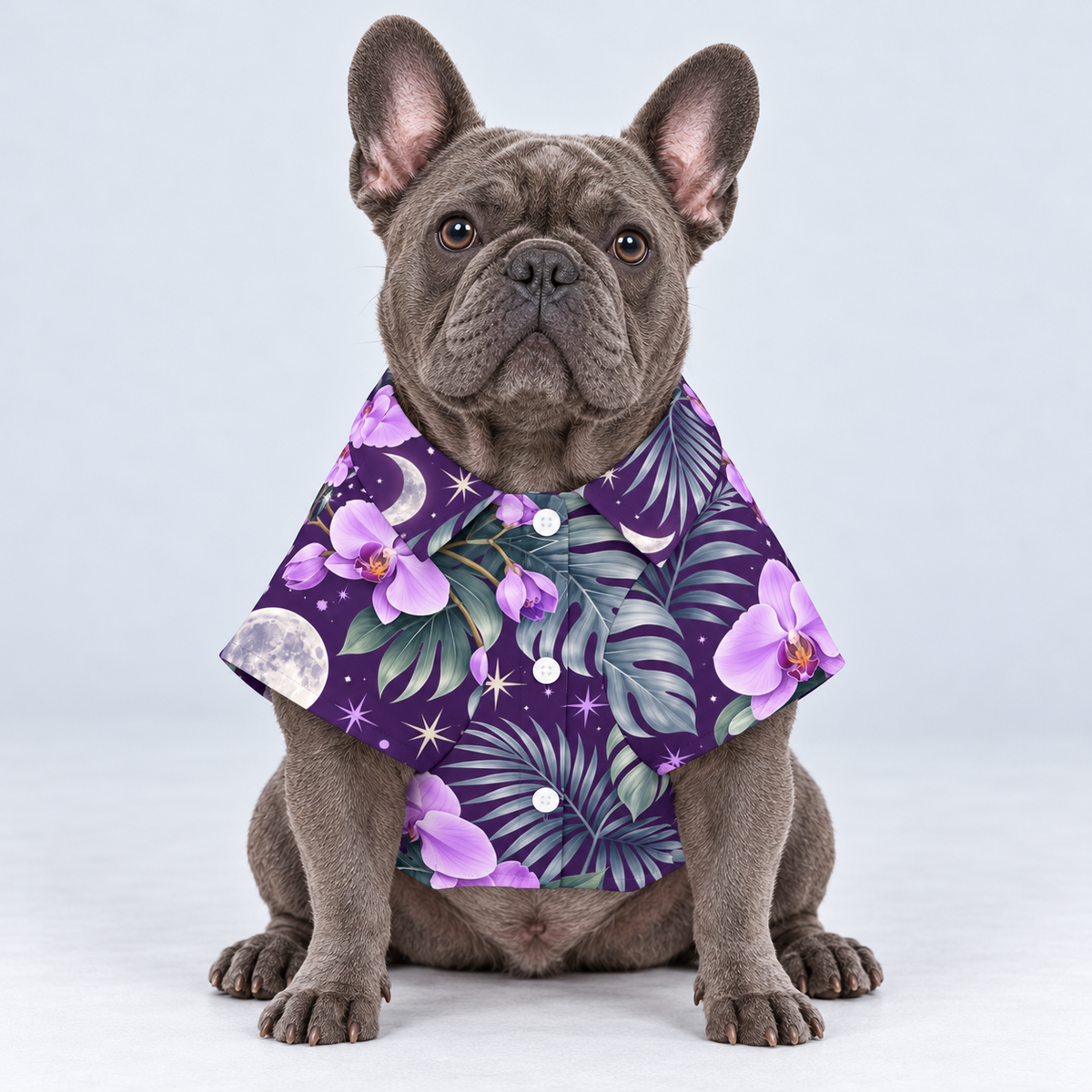 Night Luau Hawaiian Dog Shirt on our Frenchie model, front view