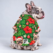 Mele Frenchie Hawaiian Dog Shirt on our Frenchie model, back view with white-square logo