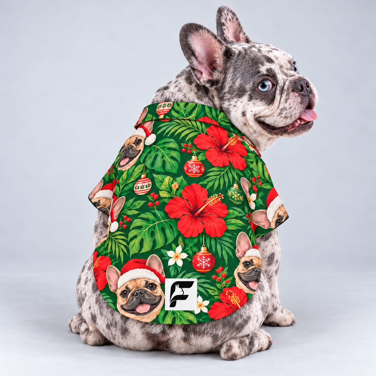 Mele Frenchie Hawaiian Dog Shirt on our Frenchie model, back view with white-square logo