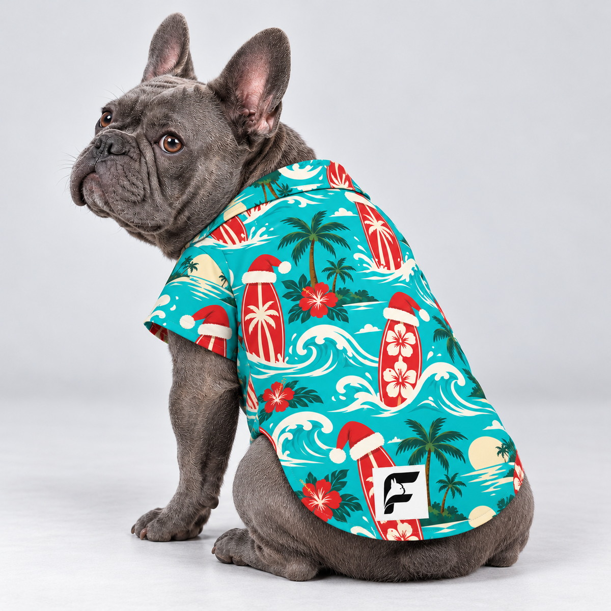 Santa Surf Hawaiian Dog Shirt on our Frenchie model, back view with white-square logo