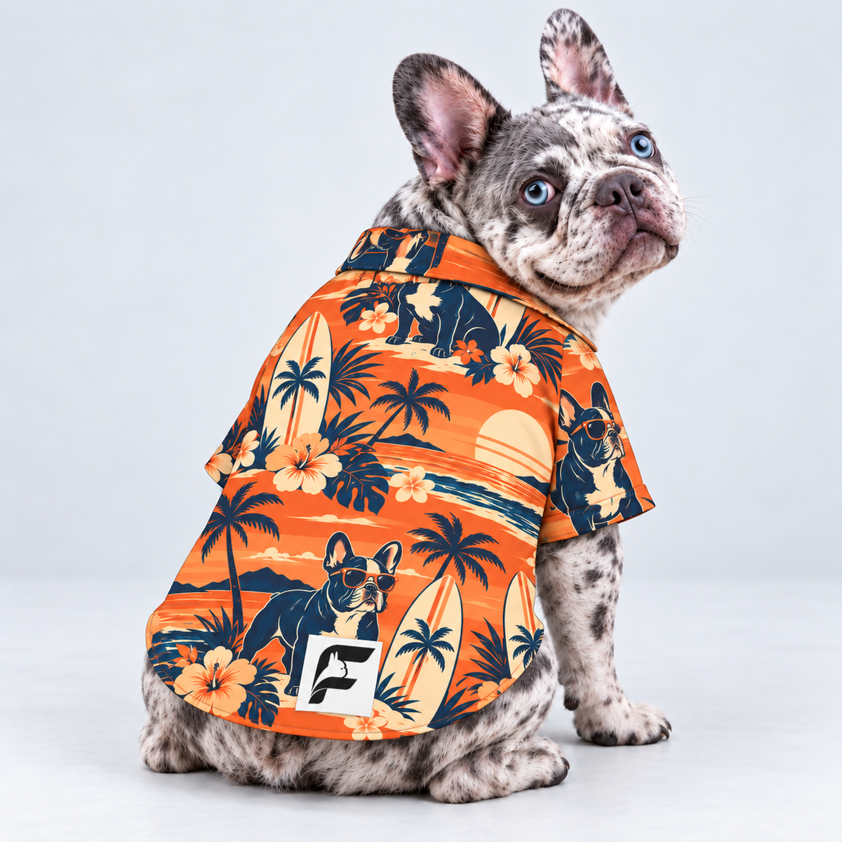 Sunset Surfer Hawaiian Dog Shirt on our Frenchie model, back view with white-square logo