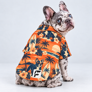 Sunset Surfer Hawaiian Dog Shirt on our Frenchie model, back view with white-square logo