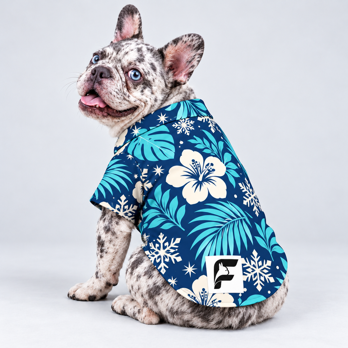 Snowbird Paradise Hawaiian Dog Shirt on our Frenchie model, back view with white-square logo