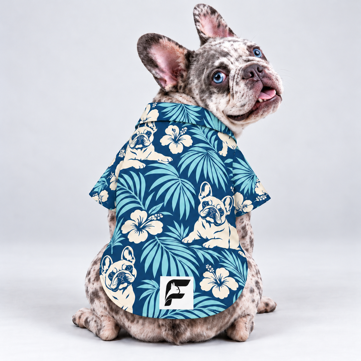 Ocean Breeze Hawaiian Dog Shirt on our Frenchie model, back view with white-square logo