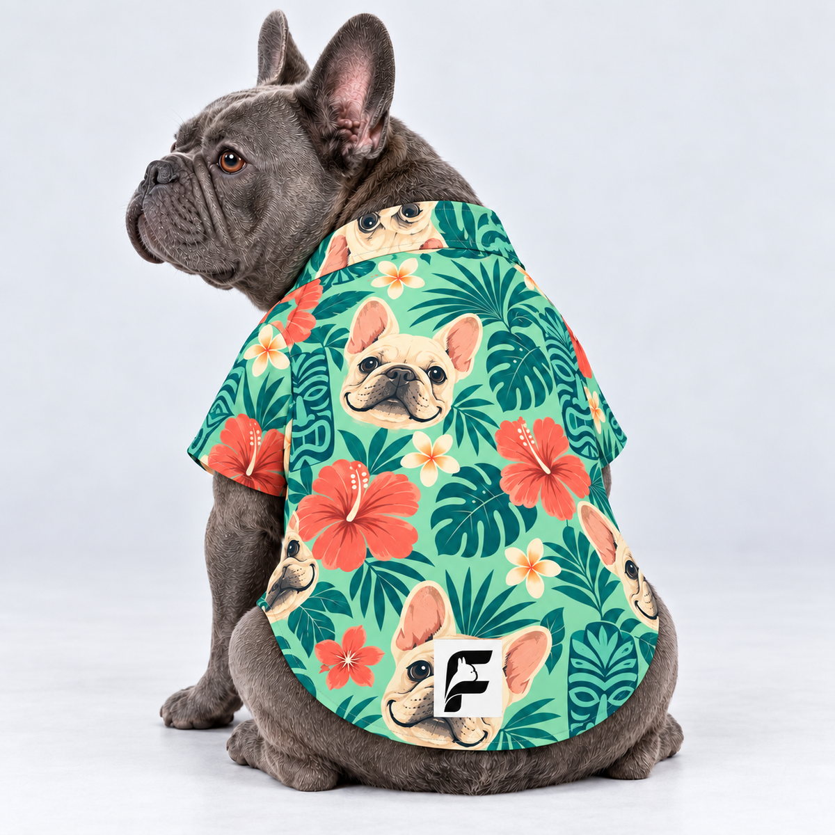 Tiki Tails Hawaiian Dog Shirt on our Frenchie model, back view with white-square logo