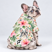 Island Watercolor Hawaiian Dog Shirt on our Frenchie model, back view with white-square logo