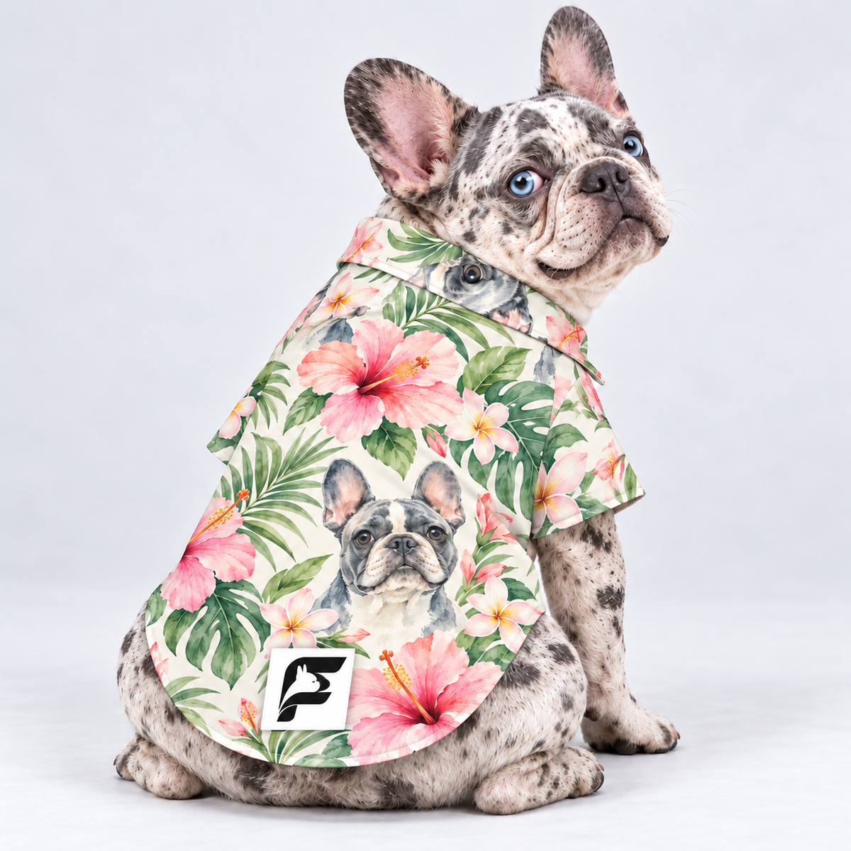 Island Watercolor Hawaiian Dog Shirt on our Frenchie model, back view with white-square logo