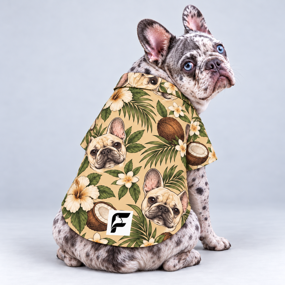 Coconut Cabana Hawaiian Dog Shirt on our Frenchie model, back view with white-square logo