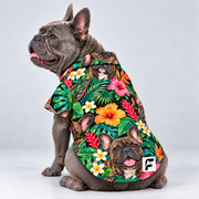 Jungle Jewel Hawaiian Dog Shirt on our Frenchie model, back view with white-square logo