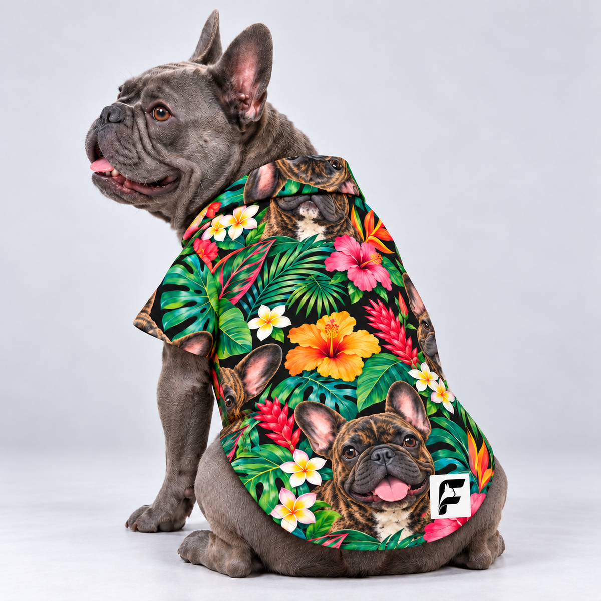 Jungle Jewel Hawaiian Dog Shirt on our Frenchie model, back view with white-square logo