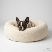 French Bulldog lying in orthopedic pillow bed